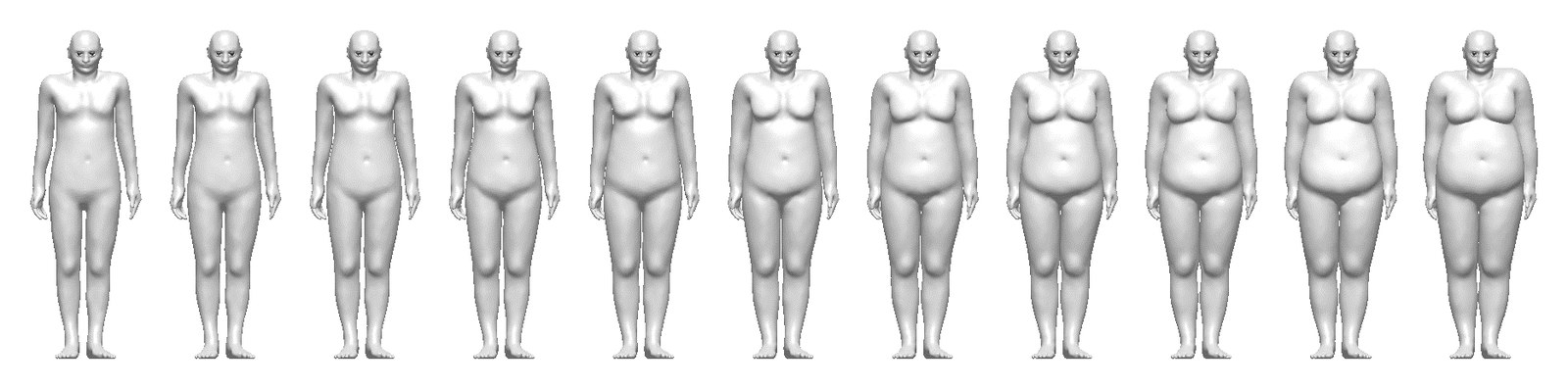 A row of eleven computational human phantoms of the same height with body fat increasing from left to right.